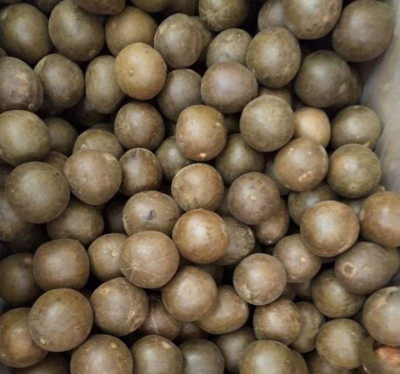 罗汉果正品产新大果手选规格泡水味甘甜批发零售