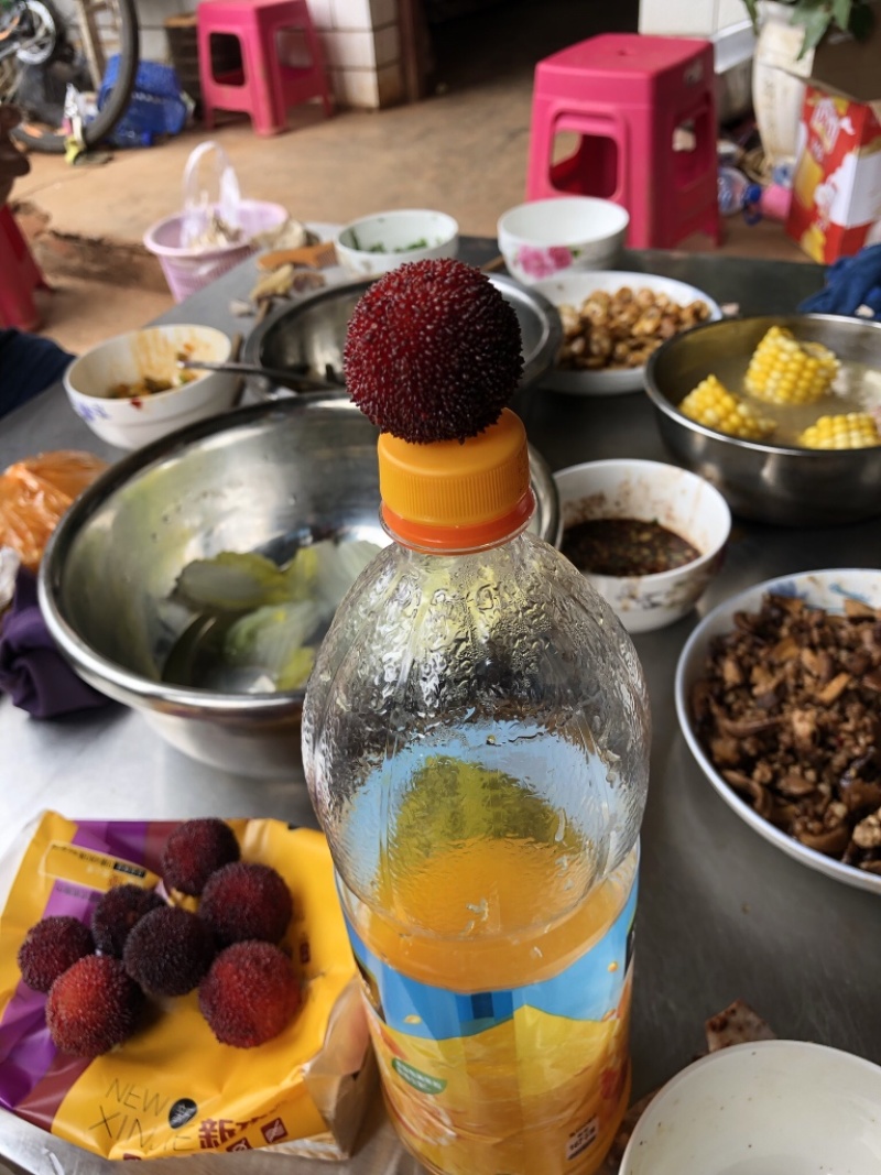 杨梅：东魁、台梅、黑炭