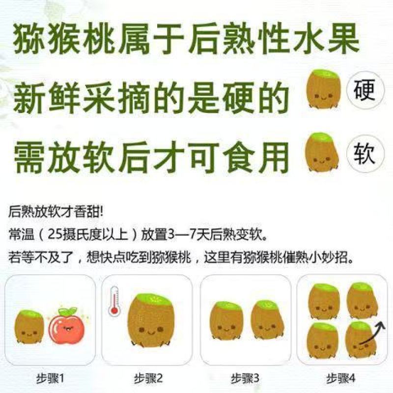 猕猴桃包邮包售后微商电商一件代发包邮到家