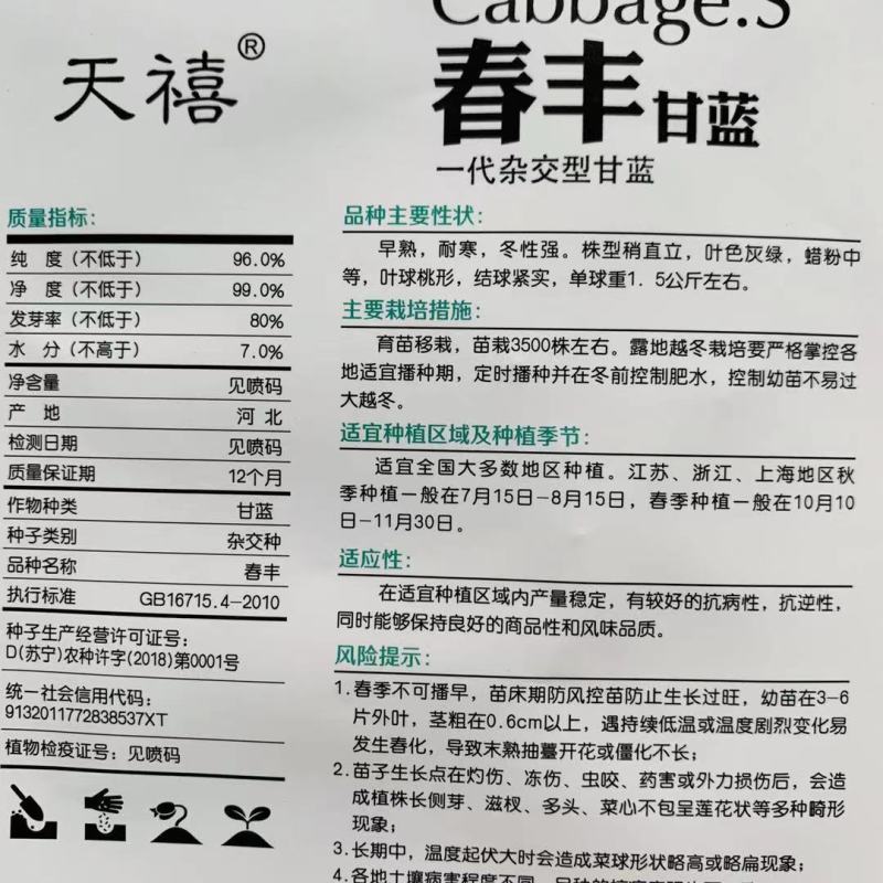 天禧一代杂交甘蓝种子春丰甘蓝种子早熟，耐寒卷心菜种子