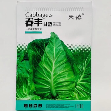 天禧一代杂交甘蓝种子春丰甘蓝种子早熟，耐寒卷心菜种子
