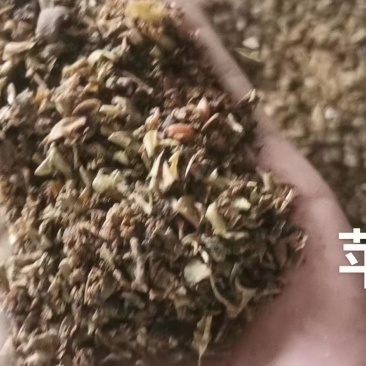 烘干苹果渣