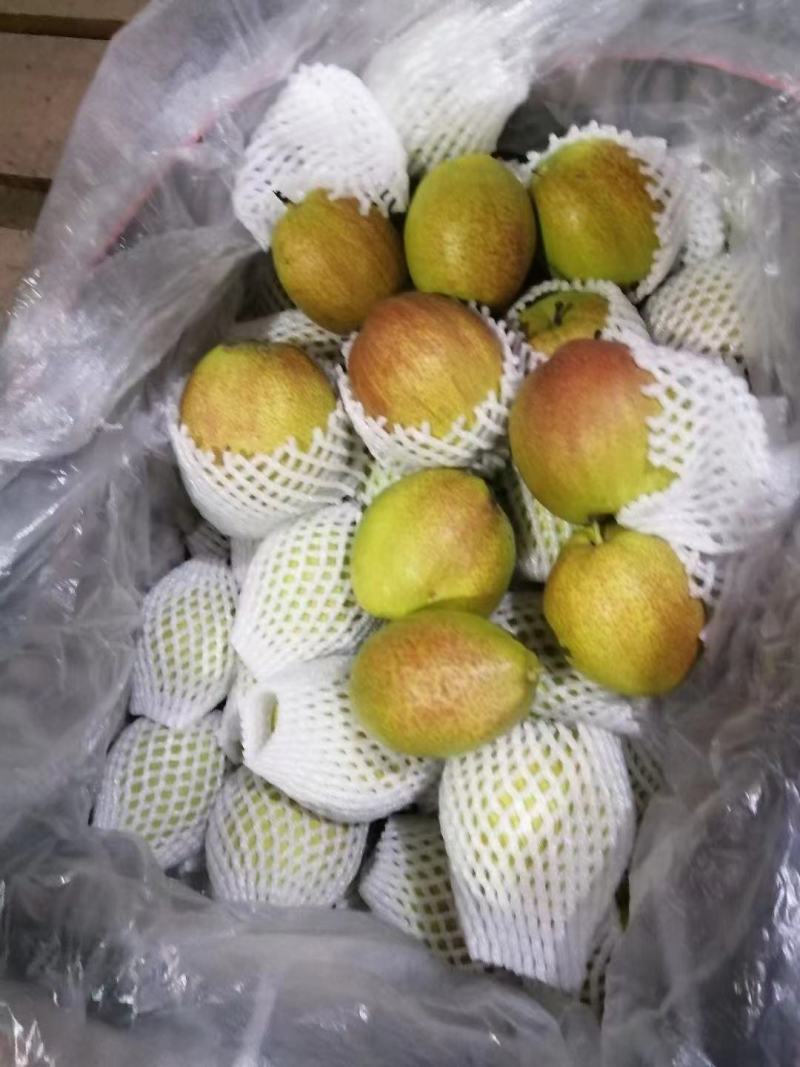 香梨