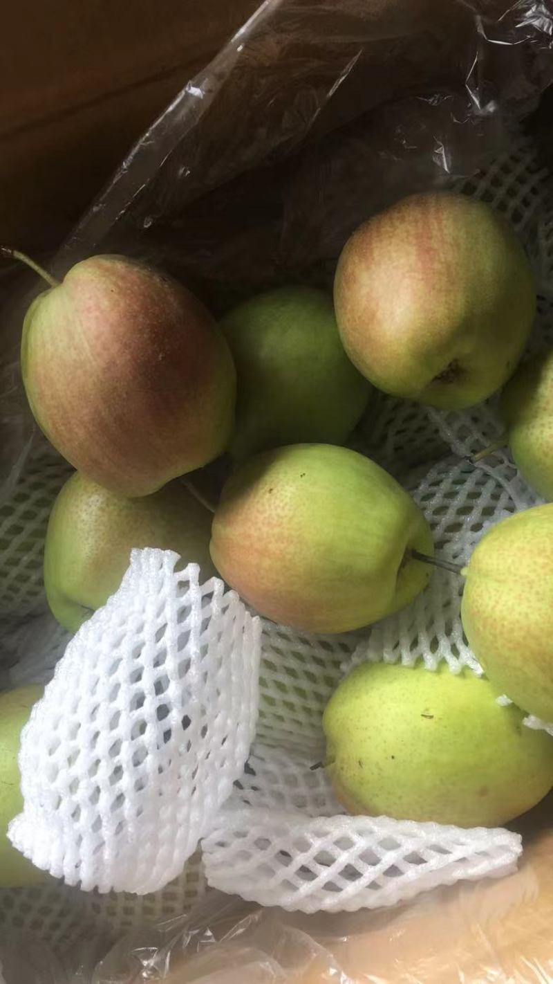 香梨