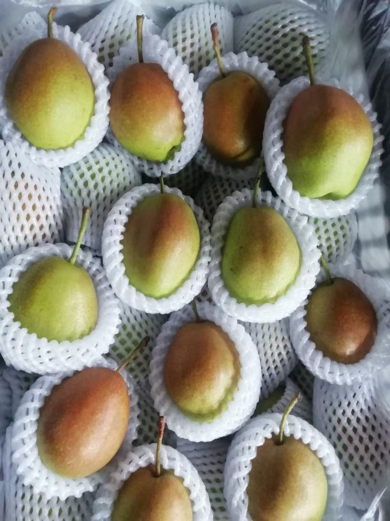 香梨