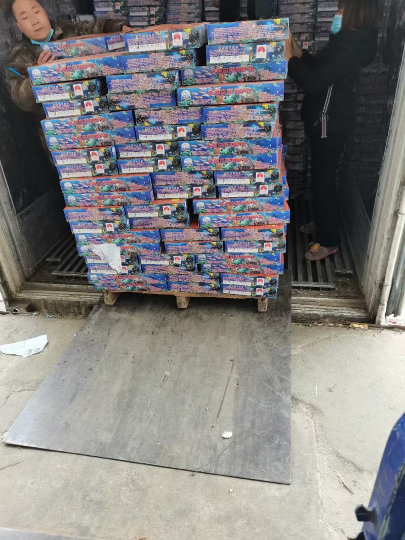 海鲈鱼厂家直销，质量很好