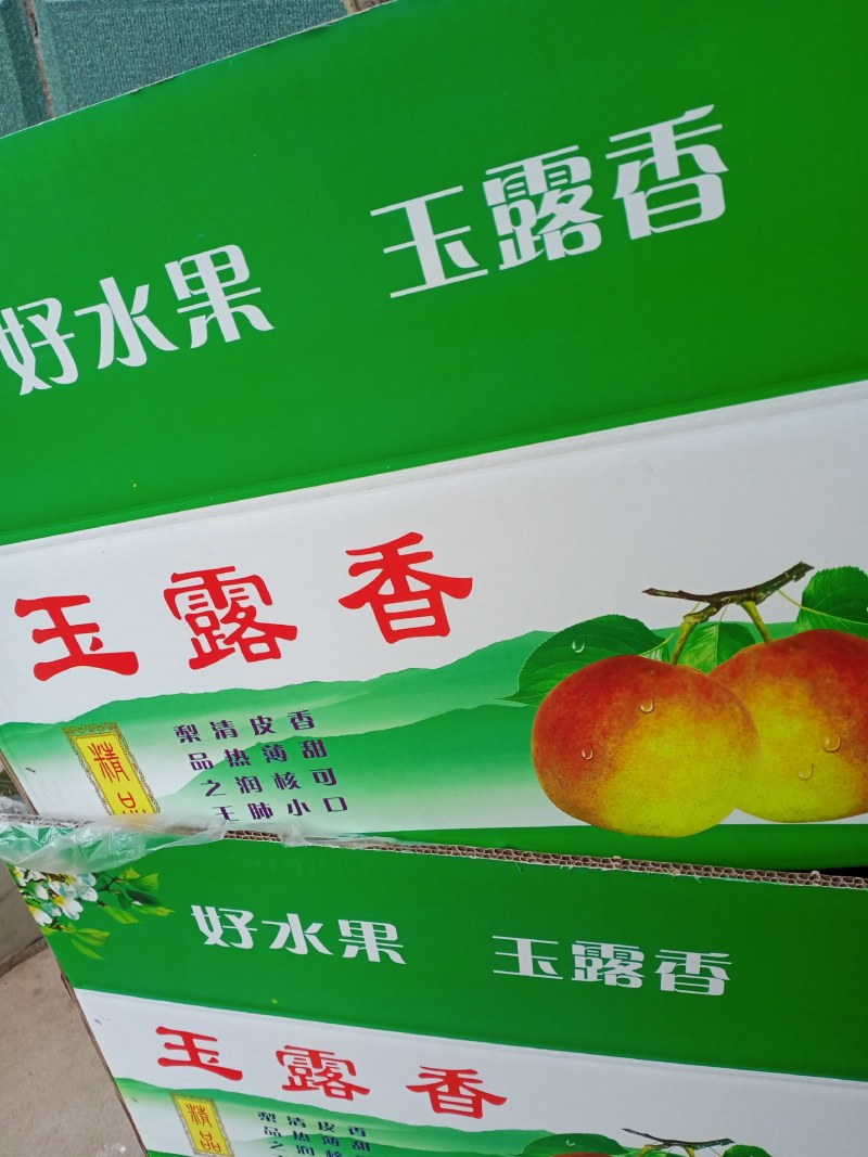 雨露香梨，皮薄汁多甘甜无渣，果面好质量优良，价格超便宜！
