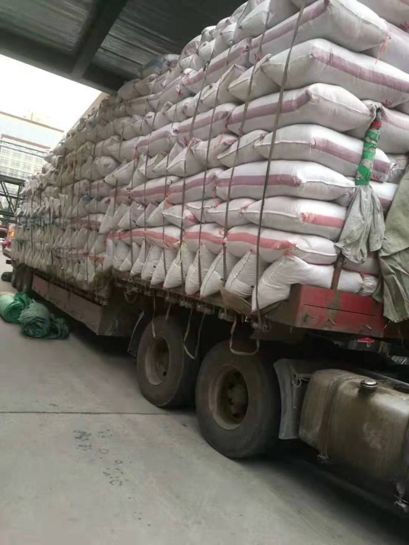 东北黑木耳产地直销小碗耳肉厚口感润滑筋道