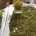 黄金芽黄茶安吉黄金芽茶叶毛峰黄金芽包邮