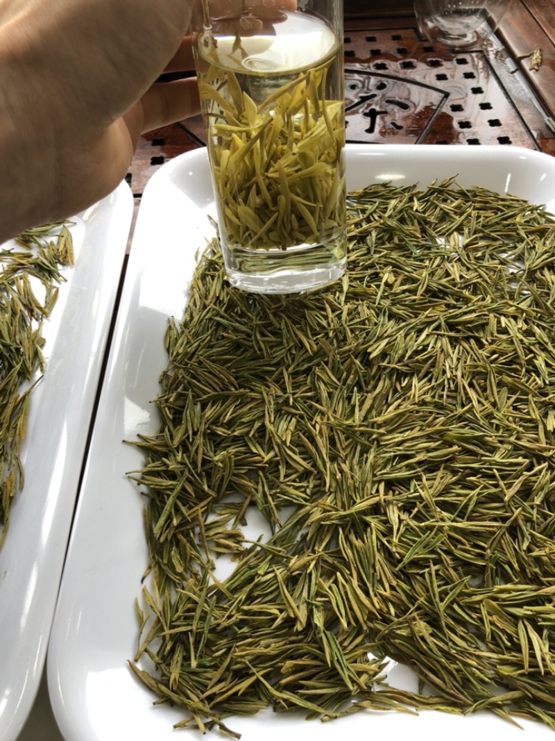 黄金芽黄茶安吉黄金芽茶叶毛峰黄金芽包邮