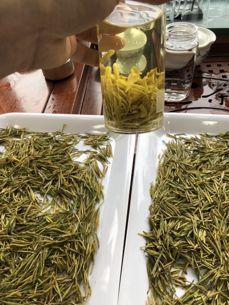 黄金芽黄茶安吉黄金芽茶叶毛峰黄金芽包邮