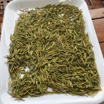 黄金芽黄茶安吉黄金芽茶叶毛峰黄金芽包邮