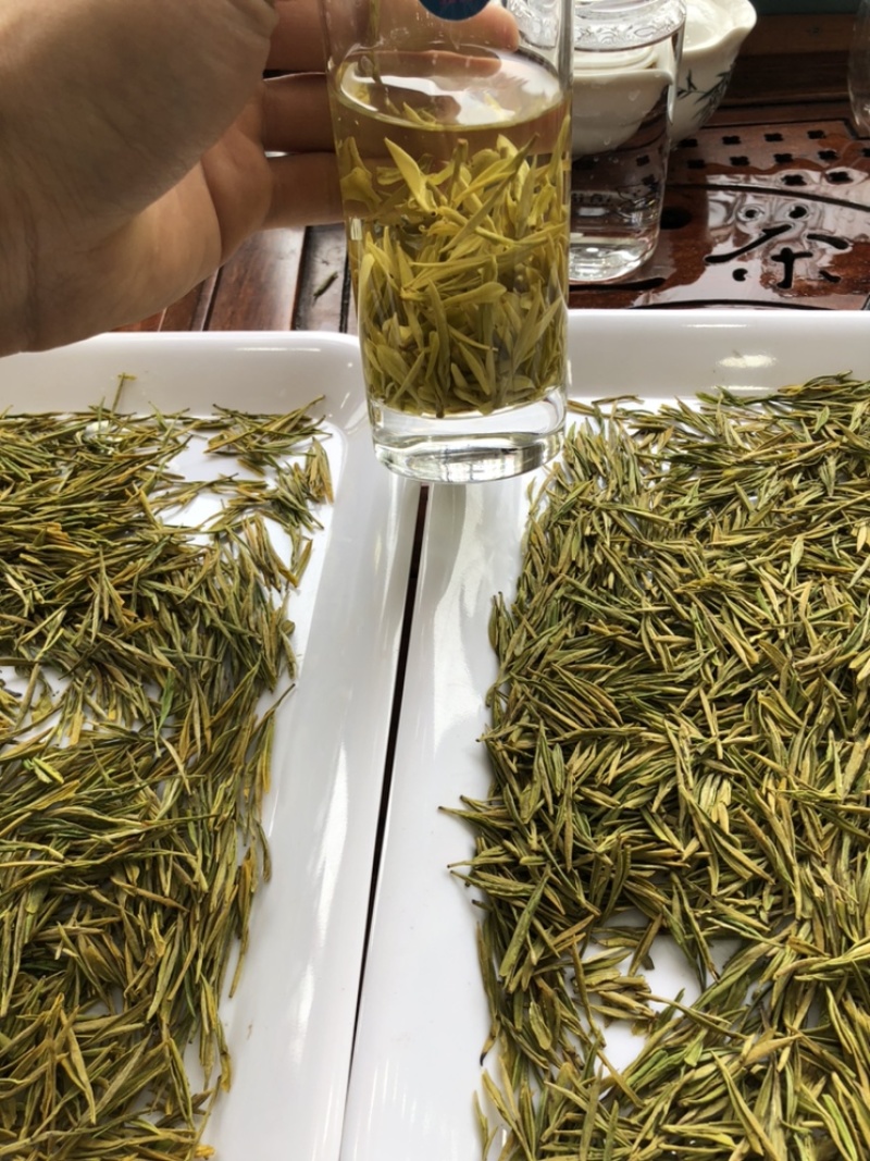 黄金芽黄茶安吉黄金芽茶叶毛峰黄金芽包邮