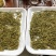黄金芽黄茶安吉黄金芽茶叶毛峰黄金芽包邮