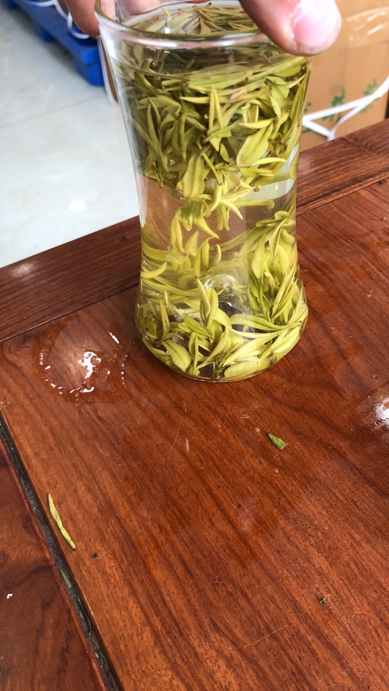 黄金芽黄茶安吉黄金芽茶叶毛峰黄金芽包邮