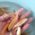 杂交金丝鲩，苗场直供.量大价优，专业水车包送到塘口。。。