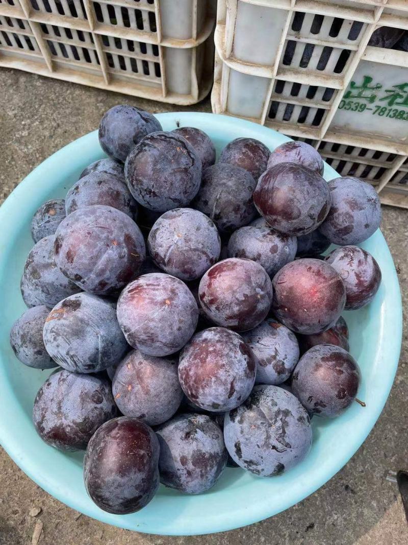 黑宝石