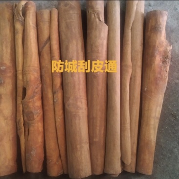 野生桂皮味浓含油量高黄通10公分-30公分广西防城香料