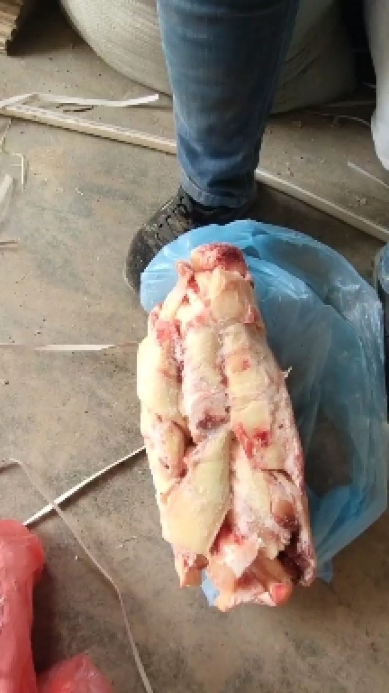 牛板筋中段到货，质量好，价格合理…………