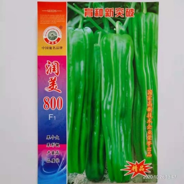 【热销】薄皮椒种子润美800种子大果型种子厂家直销种子