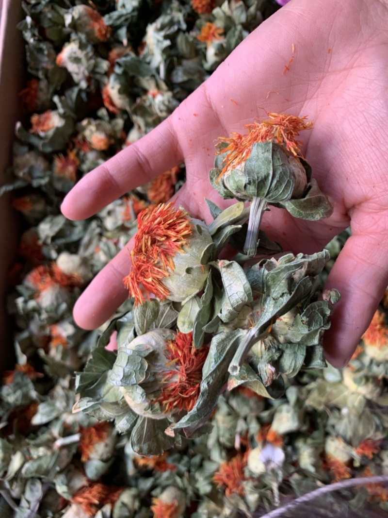 中药材红花，红花头，中药材超细粉，兽用药粉