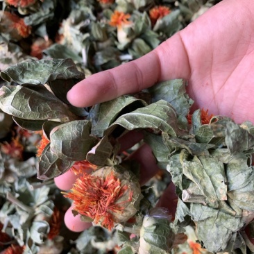 中药材红花，红花头，中药材超细粉，兽用药粉