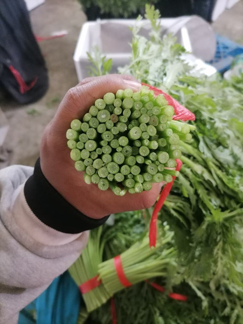 精品茼蒿