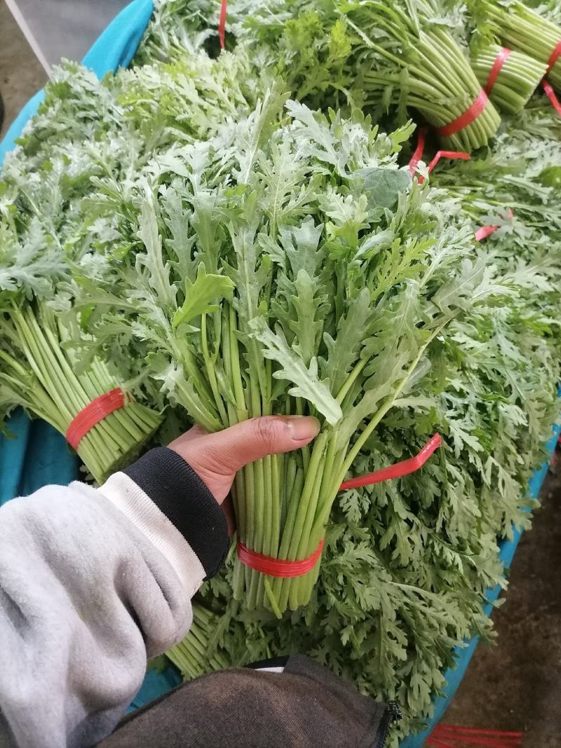 精品茼蒿