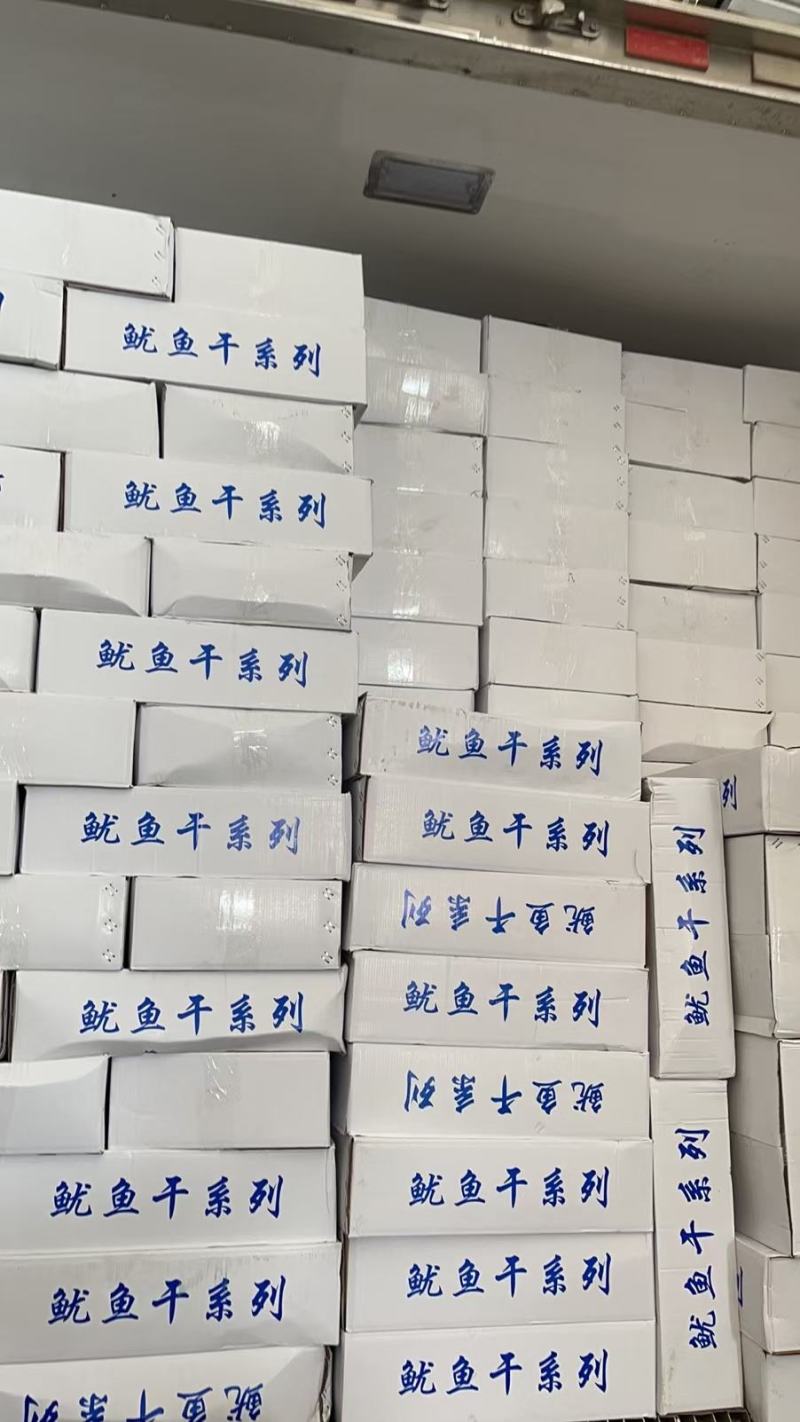 北海鱿鱼片鱿鱼边丝鱿鱼干鱿鱼边角料地摊跑江湖货源