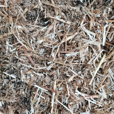 小麦秸秆、啤酒糟发酵，草料60%啤酒糟40%