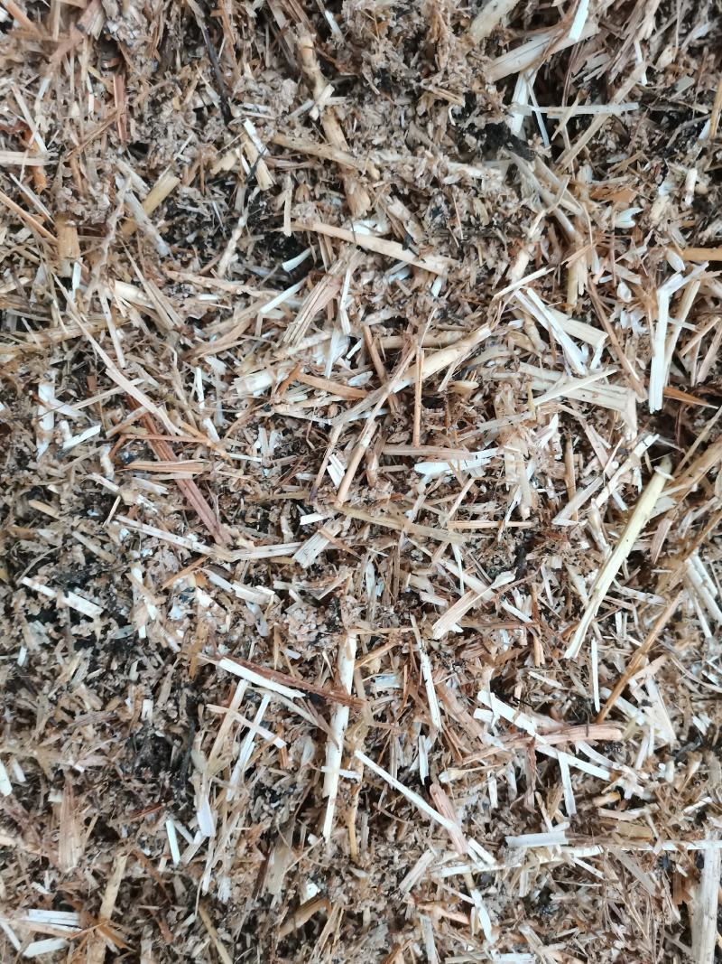 小麦秸秆、啤酒糟发酵，草料60%啤酒糟40%