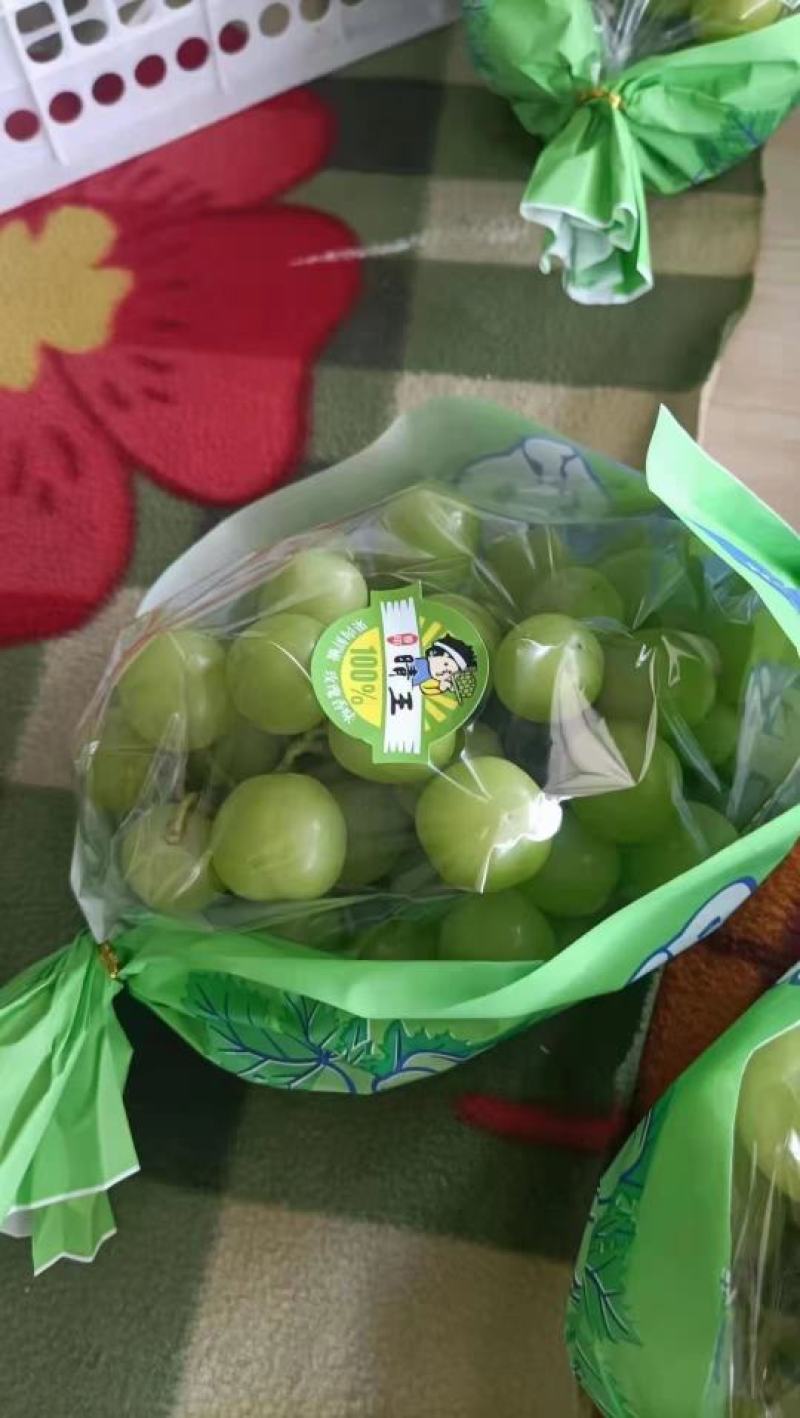阳光玫瑰湖南澧县阳光玫瑰葡萄新鲜应季水果大量上市品质保证