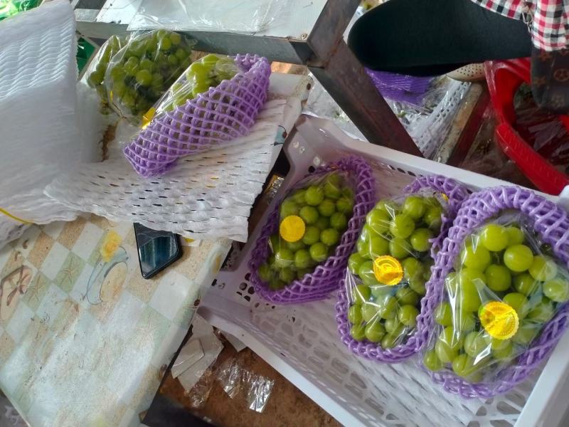 阳光玫瑰湖南澧县阳光玫瑰葡萄新鲜应季水果大量上市品质保证
