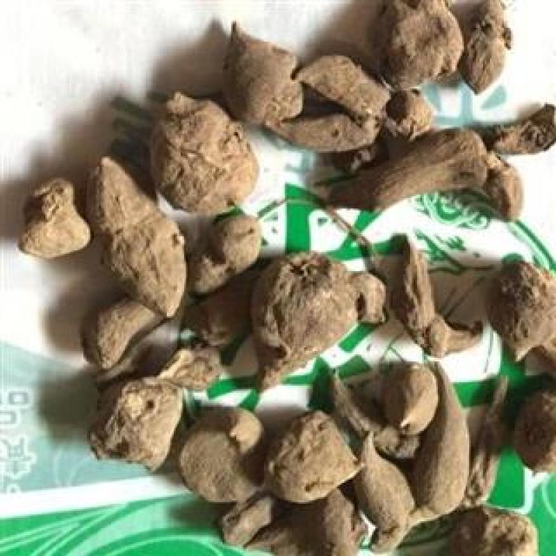 扶阳四川生附个片黑顺片制片中药材炮附片生附个