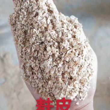 麸皮