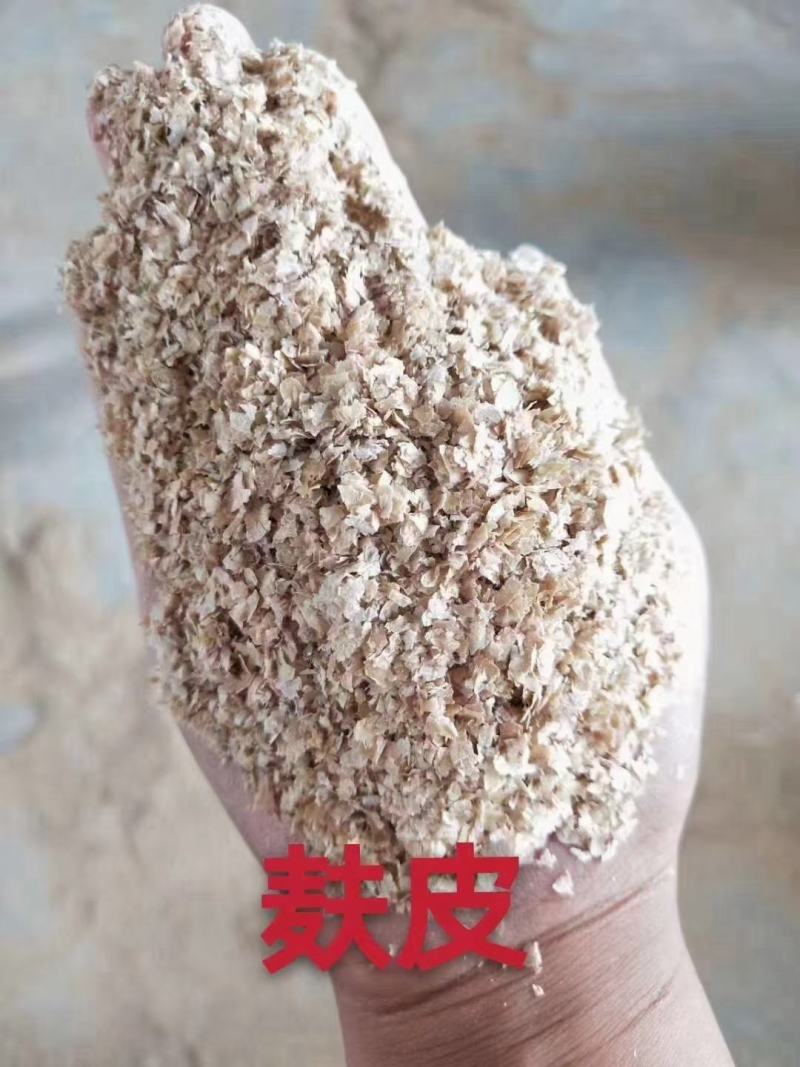 麸皮