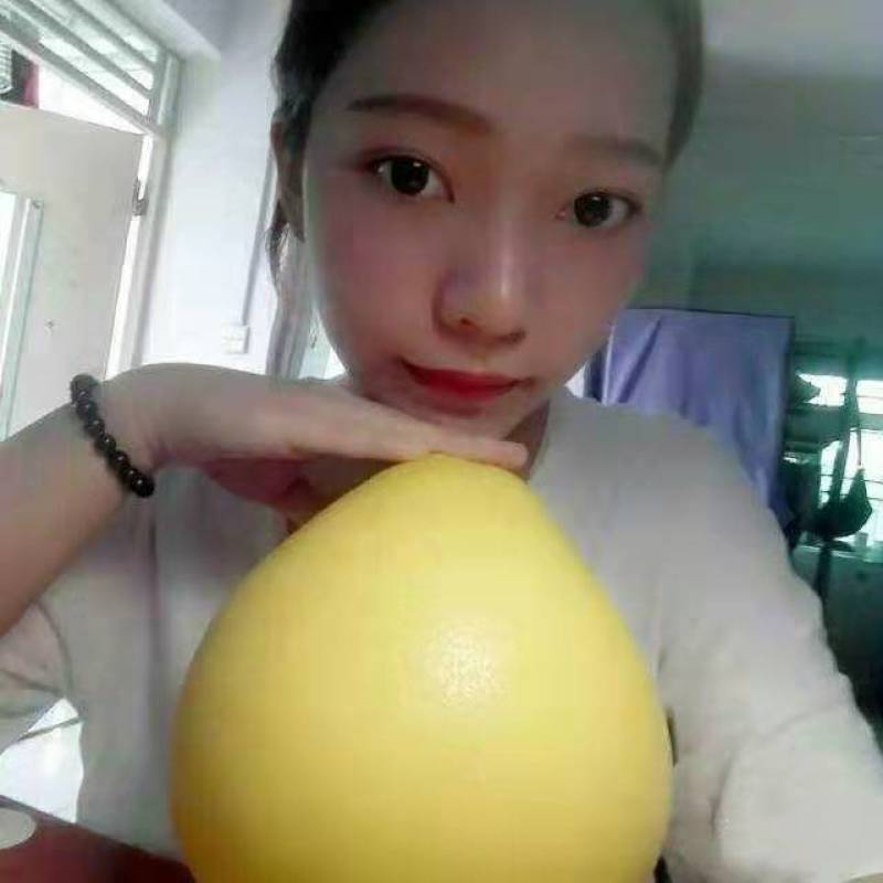红心/三红柚蜜柚6粒15斤包邮一件代发现摘发货
