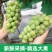 甜阳光玫瑰葡萄甜脆可口大粒整串果园直发诚信实力代办