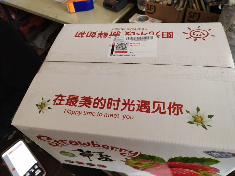 草莓中的贵族，白草莓苗有现货供应，品种有小町，淡雪，白雪