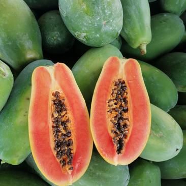 木瓜，基地种植，甜度高，肉质靓，商品性好，大量供货