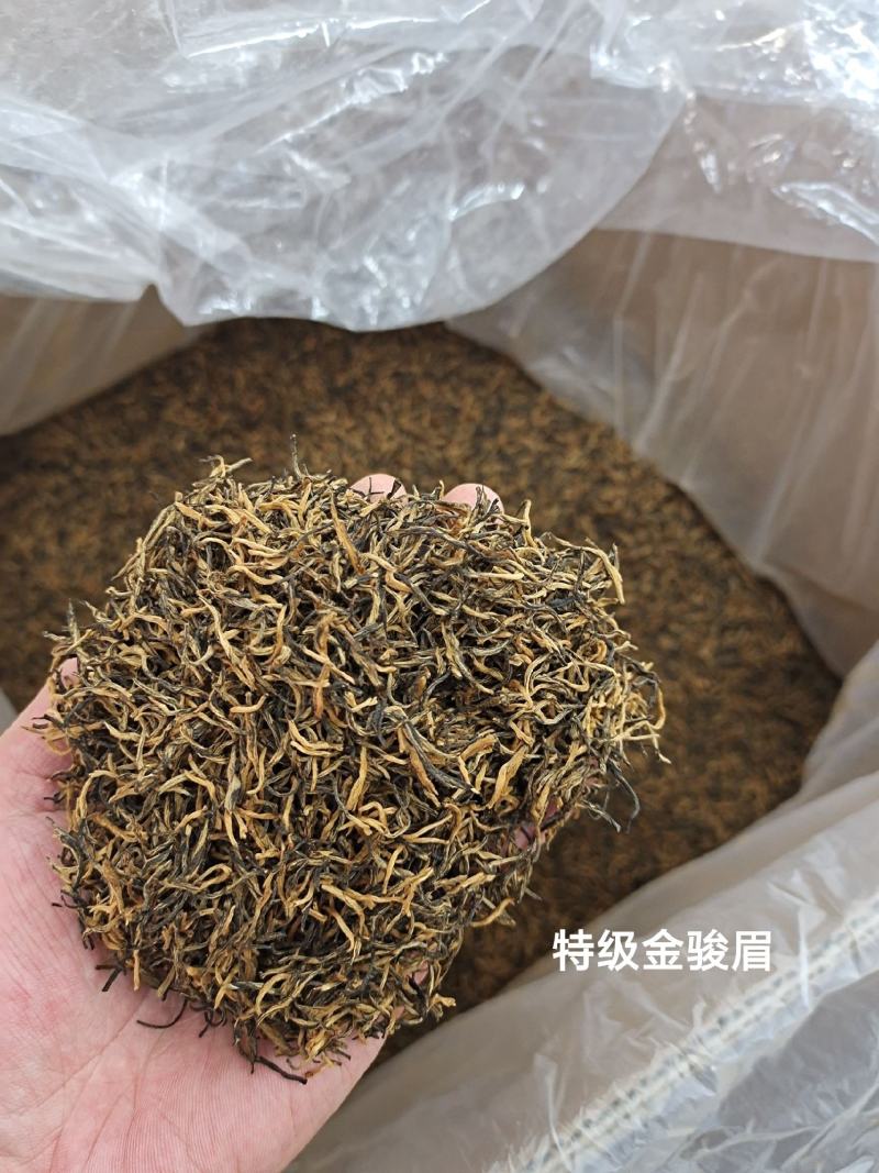 金骏眉武夷红茶头春黄金芽茶农批发高性价比