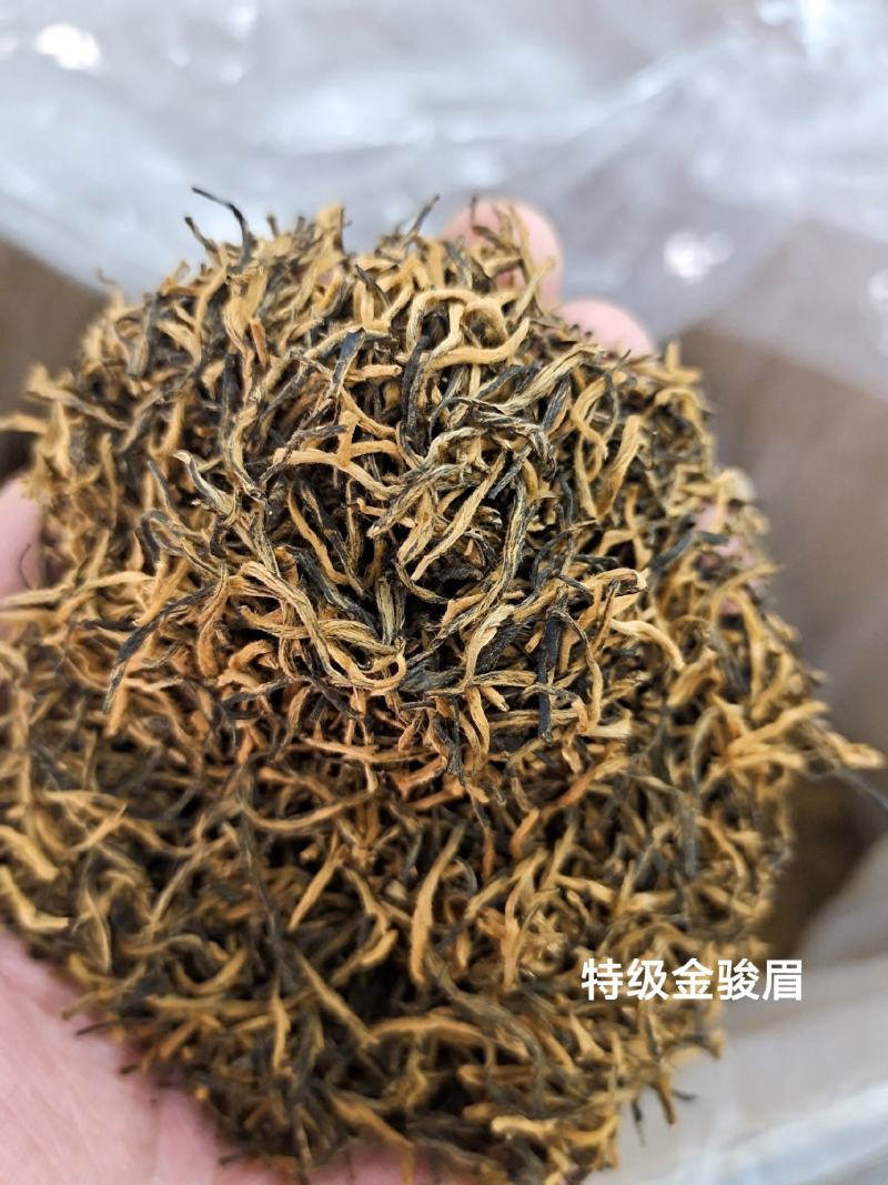 金骏眉武夷红茶头春黄金芽茶农批发高性价比