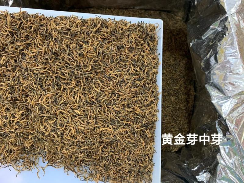 金骏眉武夷红茶头春黄金芽茶农批发高性价比