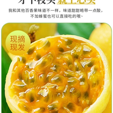 一件代发钦蜜九号黄金百香果招代理对接微商电商社区团购商超