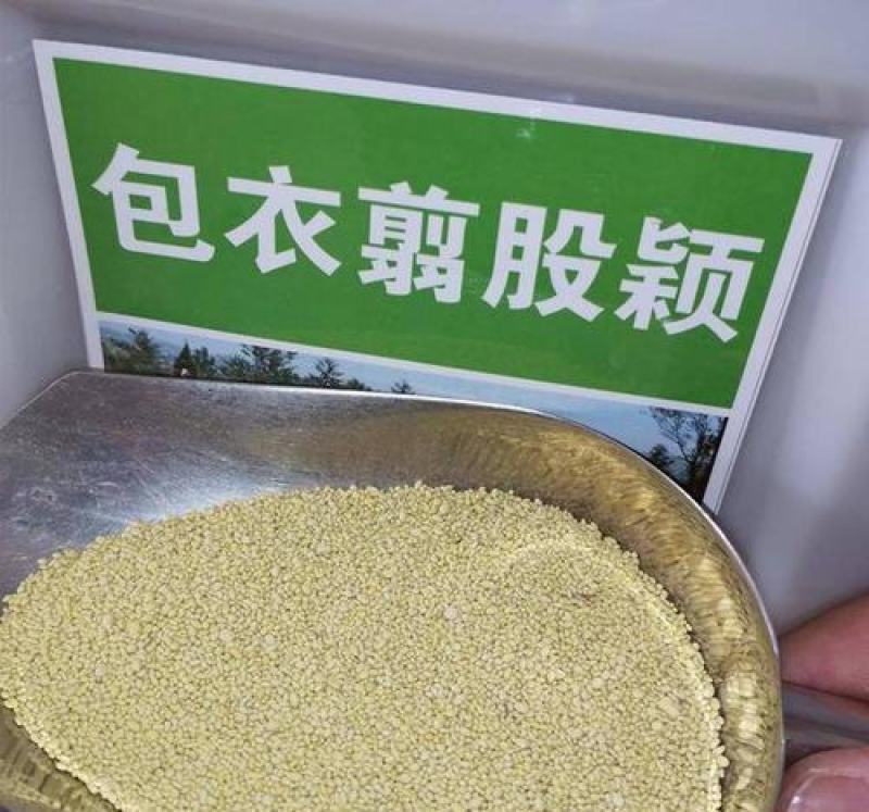 进口匍匐型剪股颖种子多年生草坪草种高尔夫球场庭院绿化