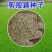 进口匍匐型剪股颖种子多年生草坪草种高尔夫球场庭院绿化