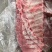 母猪肋排猪骨头排骨精修肋排排骨厂家直销寸排多肉肋排