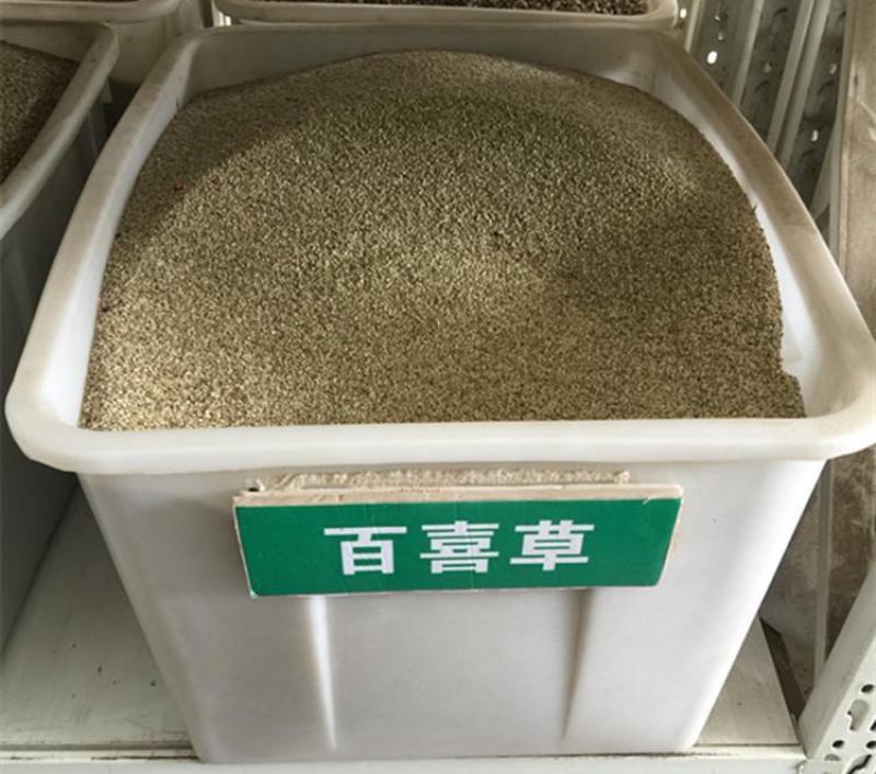 百喜草种子机场绿化护坡进口草坪种子多年生放牧型牧草