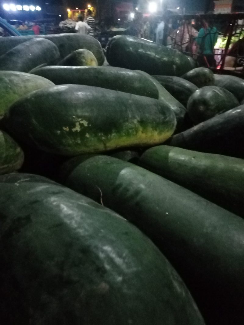 黑皮冬瓜，大量上市，货源充足，产地直供。