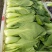 小油菜